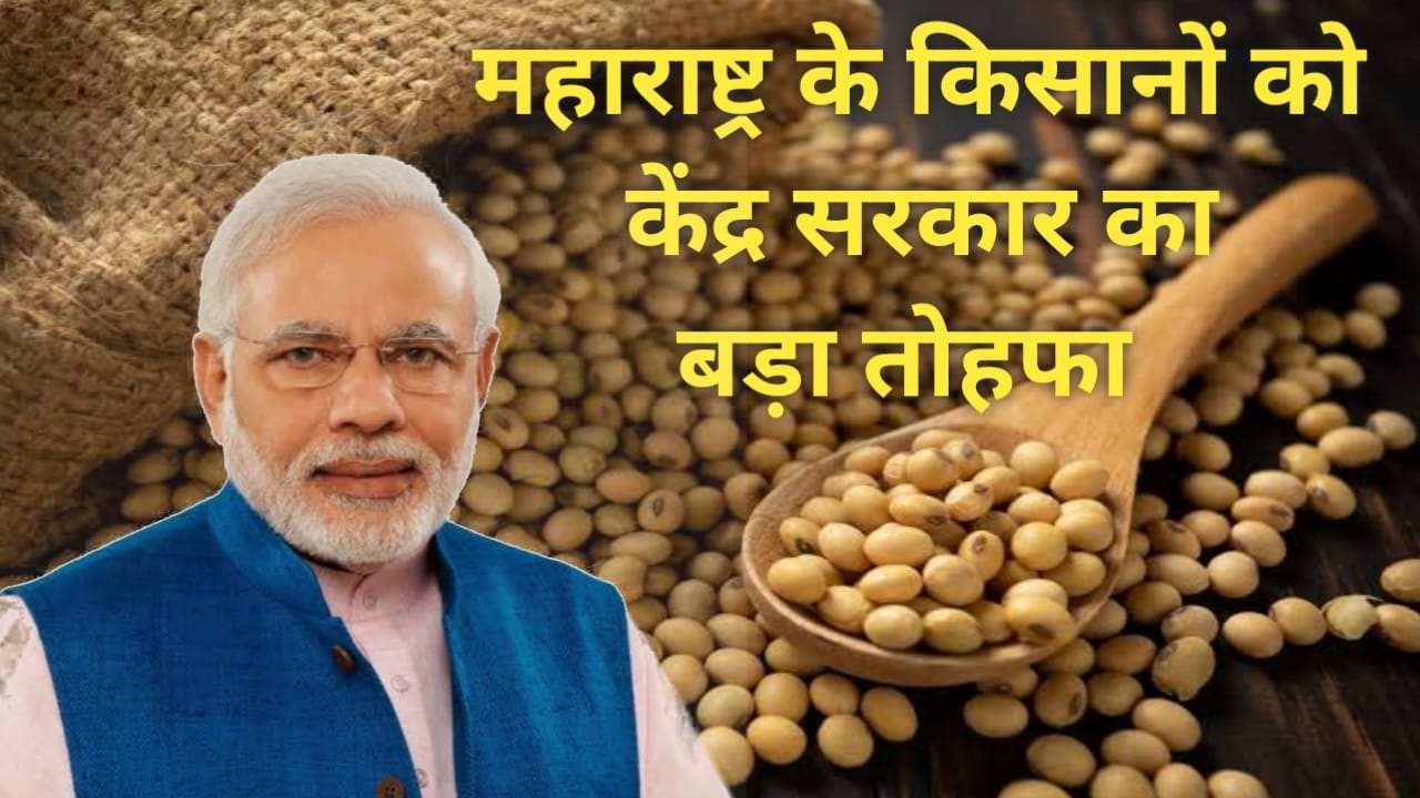 सोयाबीन